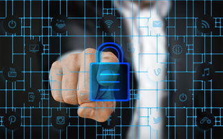 JiuyouAPP下载-马术运动进校园课程体系初步建立，马术走进校园合作方案